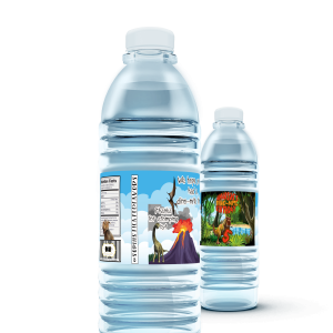 Dino – Water Bottles
