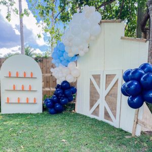 Rustic Farm Backdrop – Rentals