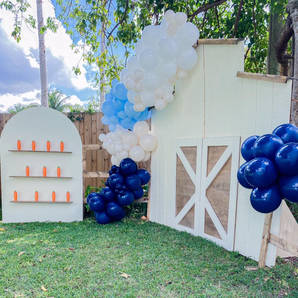 Rustic Farm Backdrop - Rentals
