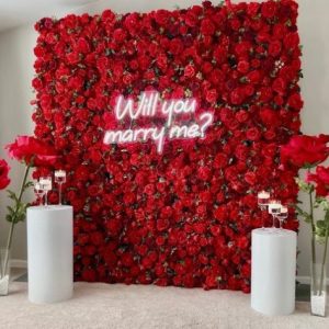 LED Display Backdrop ​- Event Services