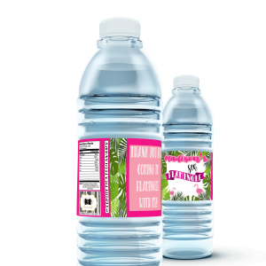 Let’s Flamingle – Water Bottles